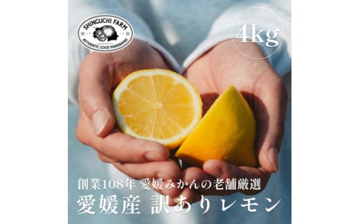 ＜訳あり＞愛媛レモン 4kg＜防腐剤・ワックス不使用＞＜C70-74＞【1622582】 2110495 - 愛媛県八幡浜市