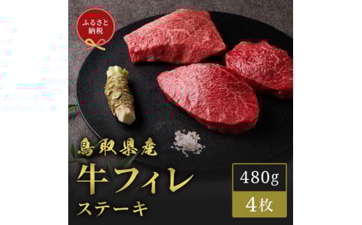 【和牛セレブ】鳥取県産牛ヒレステーキ 120g×４枚 2109920 - 鳥取県琴浦町