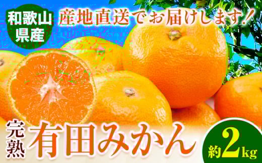 みかん 完熟有田みかん 約 2kg 有田マルシェ《11月中旬-1月上旬頃出荷》和歌山県 日高町 みかん 有田 みかん 柑橘 フルーツ 完熟 ミカン 蜜柑