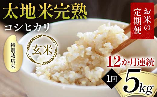 お米の定期便 特別栽培米 太地米完熟 【こしひかり】 玄米5kg×12か月連続 ブランド米 お米 人気 F7X-0387