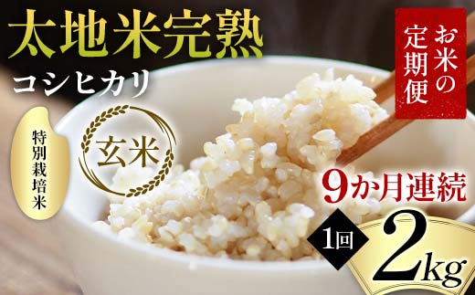 お米の定期便 特別栽培米 太地米完熟 【こしひかり】 玄米2kg×9か月連続 ブランド米 お米 人気 F7X-0370 2153736 - 福島県須賀川市