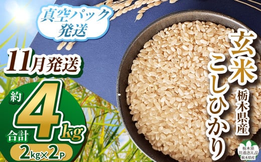 【栃木県共通返礼品】【先行予約】【数量限定】【11月発送】毎月500個限定！令和7年度新米 栃木県産こしひかり（玄米真空パック）2kg×2  |  ふるさと納税 お米  米 精米 白米 玄米 大粒  お買い得 送料無料 下野市