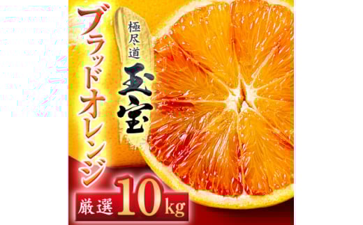 ＜愛媛名産＞玉宝ブラッドオレンジ(タロッコ)　10kg＜H64-67＞【1621809】 2110486 - 愛媛県八幡浜市