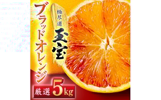 ＜愛媛名産＞玉宝ブラッドオレンジ(タロッコ)　5kg＜E64-68＞【1621810】 2110487 - 愛媛県八幡浜市