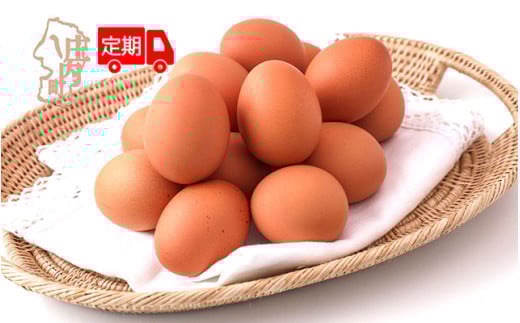 ＜7月中旬発送＞スズキのたまご 6か月定期便！ 地養卵50個（入金期限：2025.6.25）
