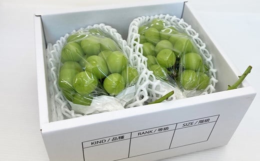 ぶどう(シャインマスカット)1.4kg 0009-2507 486483 - 山形県上山市