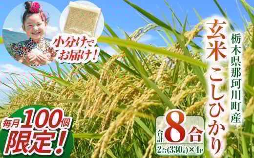 【数量限定】那珂川町産こしひかり 玄米 330g (2合分) ×4 | こしひかり 玄米 米 ごはん  ふっくら もちもち  ふるさと納税 那珂川町 栃木県