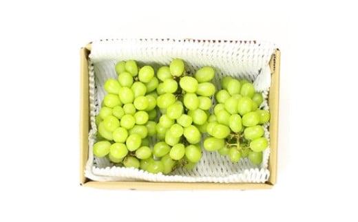 青木村産シャインマスカット(約2.0kg)