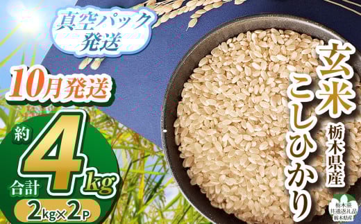 【栃木県共通返礼品】【先行予約】【数量限定】【10月発送】毎月500個限定！令和7年度新米 栃木県産こしひかり（玄米真空パック）2kg×2  |  ふるさと納税 お米  米 精米 白米 玄米 大粒  お買い得 送料無料 下野市