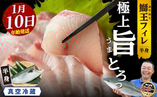 ＜数量限定＞【2026年1月10日発送】『旅サラダ』で紹介ぶりの王様「 鰤王 」 フィレ 半身 (約1.3〜1.5kg・フィレ1枚) 産地直送 新鮮 旨味が抜群の 長島町 特産品 ブランド ぶり 鰤 ブリ 切り身 真空 冷蔵 刺身 ぶりしゃぶ しゃぶしゃぶ 魚 魚介 人気 ランキング 年末年始発送 【JFA】jfa-7f-0110