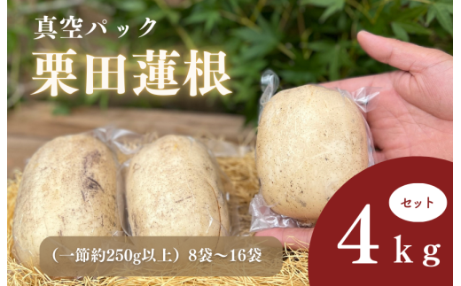 真空パック栗田蓮根4キロセット 2115772 - 茨城県鉾田市