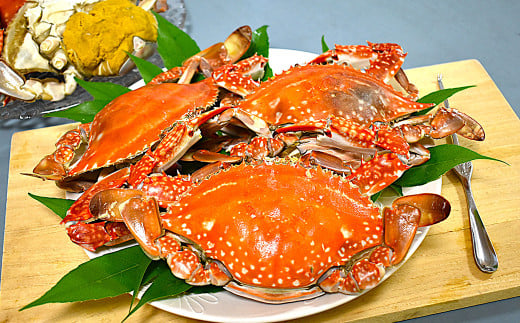 有明海 天然ワタリガニ オスのみ 1.2kg 3～6杯 ワタリガニ 蟹 かに カニ 冷凍 熊本県 上天草市