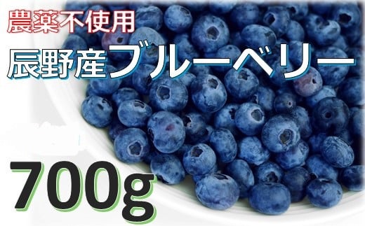 240 農薬不使用!!中村さんの国産ブルーベリー 700ℊ 数量限定!先行予約!!