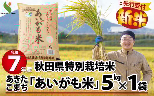 【新米先行受付】令和7年産秋田県特別栽培米あきたこまち「あいがも米」5kg 80P9005　/ 米 特別栽培米 白米 令和7年産 秋田県産 あきたこまち 5kg おにぎり 大館 東北 秋田 小分け こわけ 大館市 キロ キログラム