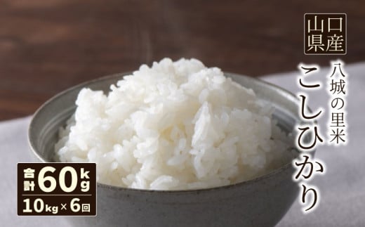 【先行予約】【定期便 6ヶ月】こしひかり 精米 10kg 計60kg 2113804 - 山口県下関市