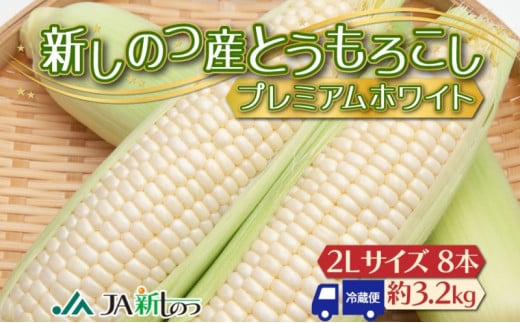 北海道 新しのつ産 とうもろこし プレミアムホワイト 2L 8本 白 トウモロコシ とうきび コーン 旬 野菜 甘い お取り寄せ 国産 人気 BBQ JA新しのつ 送料無料 新篠津  1267219 - 北海道新篠津村