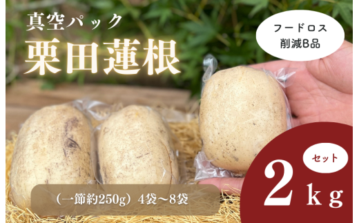 フードロス削減B品 真空パック栗田蓮根2キロセット 2115774 - 茨城県鉾田市