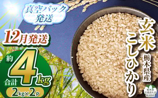【栃木県共通返礼品】【先行予約】【数量限定】【12月発送】毎月500個限定！令和7年度新米 栃木県産こしひかり（玄米真空パック）2kg×2  |  ふるさと納税 お米  米 精米 白米 玄米 大粒  お買い得 送料無料 下野市