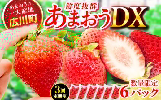【3回定期便】博多あまおう 3ケース　広川町 / JAふくおか八女農産物直売所どろや [AFAB082]