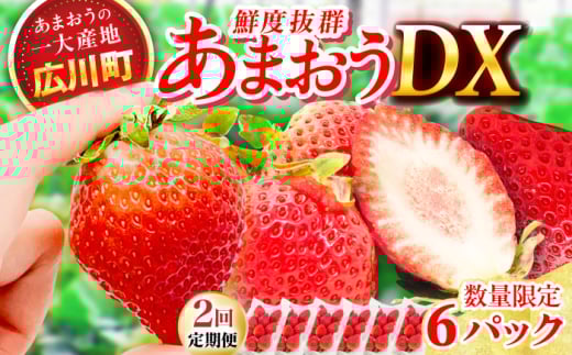 【2回定期便】博多あまおう 3ケース　広川町 / JAふくおか八女農産物直売所どろや [AFAB080]