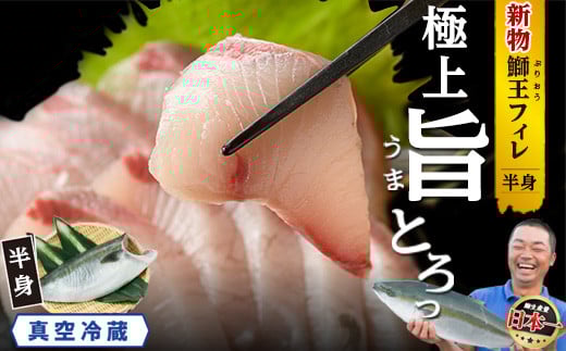 【先行予約 2025年10月より順次発送】 『旅サラダ』で紹介ぶりの王様「 鰤王 」 フィレ 半身 (約1.5kg・フィレ1枚) 産地直送 新鮮 旨味が抜群の 長島町 特産品 ブランド ぶり 鰤 ブリ 切り身 真空 冷蔵 刺身 ぶりしゃぶ しゃぶしゃぶ 魚 魚介 人気 ランキング 【JFA】jfa-1483