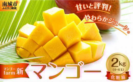 沖縄県南城市産マンゴー化粧箱2kg