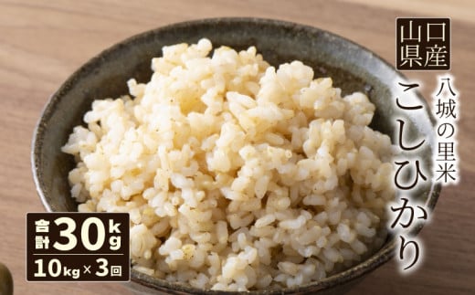 【先行予約】【定期便 3ヶ月】こしひかり 玄米 10kg 計30kg 2113806 - 山口県下関市