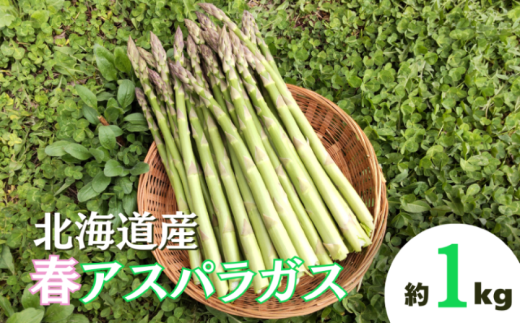 [先行予約]北海道栗山町産 春アスパラ 1kg程度 池田農林