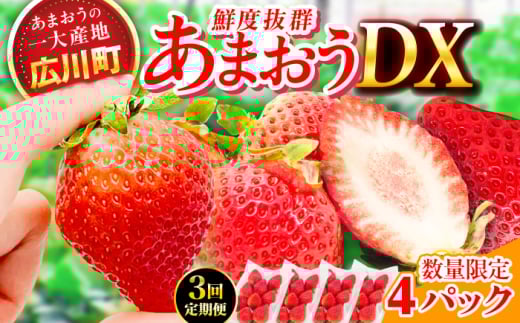 【3回定期便】博多あまおう 2ケース　広川町 / JAふくおか八女農産物直売所どろや [AFAB081]