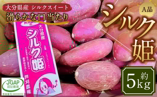 004-1304 シルク姫 約5kg（A品） さつまいも いも イモ 芋 シルクスイート 国産 常温 大分県 豊後大野市 【2025年9月上旬～2026年5月下旬発送予定】 2089185 - 大分県豊後大野市