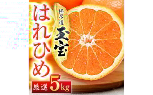 ＜愛媛名産＞玉宝はれひめ　5kg＜C64-71＞【1621813】 2110490 - 愛媛県八幡浜市