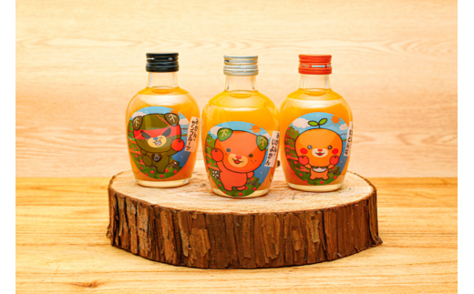 みかんジュースセットＢ 200ml×12本 ※北海道、沖縄・離島への配送不可 【 ふるさと納税 人気 おすすめ ランキング 飲料 飲み物 ソフトドリンク 果物 フルーツ 柑橘 ミカン 国産 ミカンジュース みかんジュース ギフト おすそ分け お土産 贈り物 プレゼント 愛媛県 伊方町 送料無料 】 IKTI019 