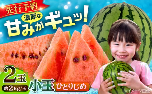 【先行予約】【数量限定】小玉 すいか 2玉 ひとりじめ 計4kg 【合同会社 福福堂】 [AYAC046]