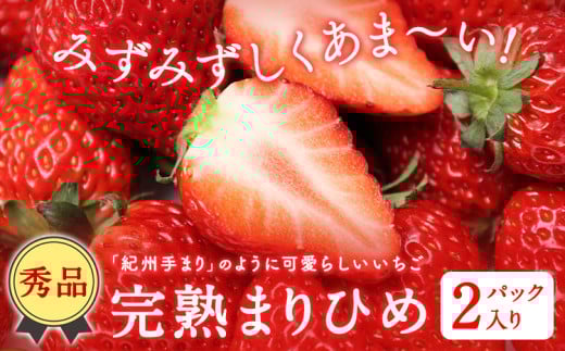 和歌山県産 秀品 完熟まりひめ1箱 (2パック入り) 株式会社松源《2026年1月下旬-3月上旬頃出荷》和歌山県 日高町 果物 フルーツ いちご イチゴ 苺 まりひめ