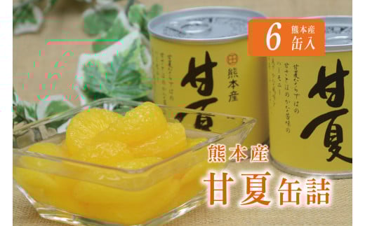B183-08 甘夏缶詰(6缶入) 512882 - 熊本県芦北町