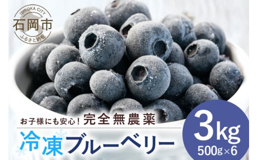 元気に育ったブルーベリー 3kg 冷凍 ( 500g 6パック ) 農薬 栽培期間中 不使用 果物 フルーツ 3キロ 手摘み 急速冷凍 国産 産地直送 農家直送 産直 夏 7月 以降 発送 くだもの スムージー ジャム ヨーグルト デザート 茨城 茨城県 石岡市 (A11-007) 791577 - 茨城県石岡市