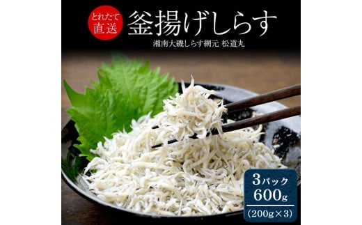 湘南大磯しらす網元 松道丸・釜揚げしらす 3パック 600g （200g×3）【 しらす 魚介類 海鮮 惣菜 おかず ギフト 簡単調理 冷凍配送 送料無料 神奈川県 大磯町】 2108747 - 神奈川県大磯町