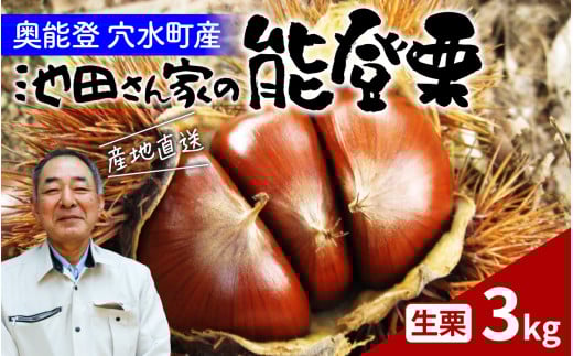 【先行予約】奥能登 池田栗園の能登栗 3kg 【2025年9月中旬以降順次発送】 1485534 - 石川県穴水町