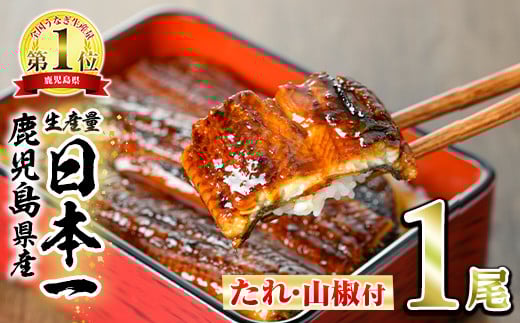 【0074324a】東串良町のうなぎ蒲焼(無頭)(1尾・約150g・タレ、山椒付) うなぎ 高級 ウナギ 鰻 国産 蒲焼 蒲焼き たれ 鹿児島 ふるさと お試し【アクアおおすみ】