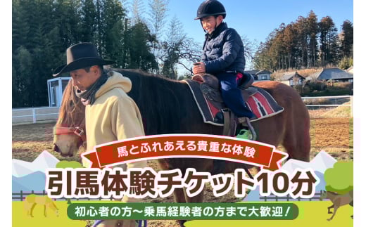 ★ROCKY★ 引馬体験チケット 10分 体験 チケット 券 引馬 馬 うま ウマ 子供 大人 初心者 経験者 歓迎 92-A 2117139 - 茨城県小美玉市