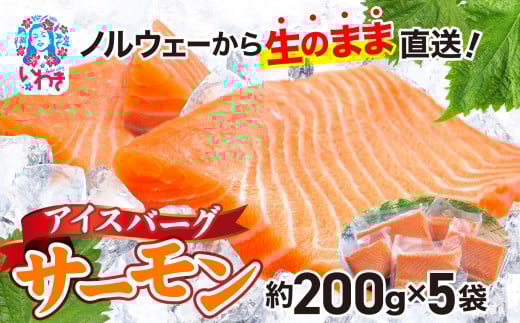 アイスバーグサーモン（アトランティックサーモン）　約1kg（約200g×5袋） 刺身 フィレ 個包装 冷凍 さけ サケ 生食サーモン 鮭 魚 海鮮 手巻き寿司 海鮮丼 人気 おすすめ ノルウェー産 850954 - 福島県いわき市