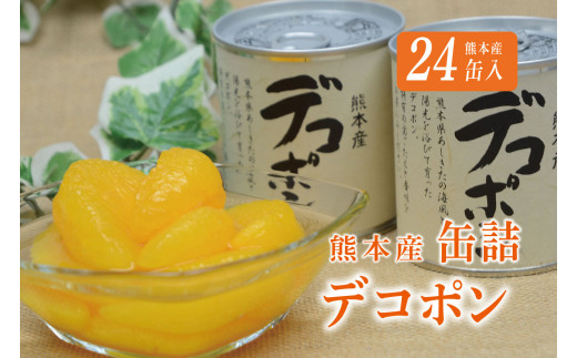 B29-26 デコポン缶詰(24缶) 393211 - 熊本県芦北町