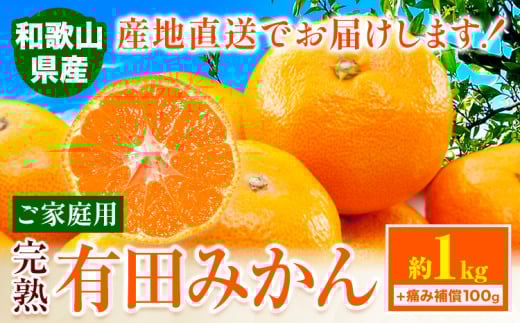 みかん ご 家庭用 完熟 有田みかん 約 1kg + 傷み補償 100g 有田マルシェ《10月中旬-1月上旬頃出荷》和歌山県 日高町 みかん 有田みかん 柑橘 フルーツ 完熟 訳あり みかん 蜜柑 ミカン 柑橘