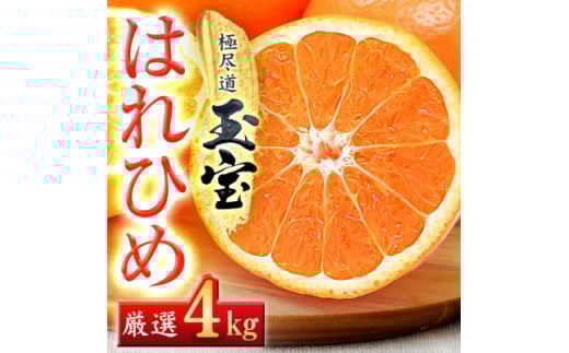＜愛媛名産＞玉宝はれひめ　4kg＜C64-70＞【1621812】 2110489 - 愛媛県八幡浜市