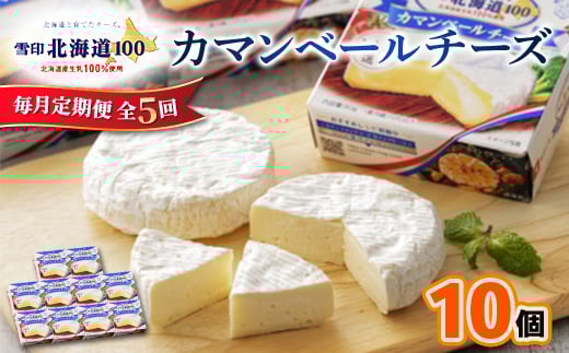 ＜毎月定期便＞雪印北海道 カマンベールチーズ 1箱(90g×10個入り)全5回_ カマンベールチーズ チーズ カマンベール ちーず 定期便 乳製品 加工品 おつまみ 晩酌 90g×10個 ギフト プレゼント 自宅用 雪印 北海道 送料無料 【4014033】 1369219 - 北海道大樹町