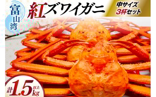 【12月配送】 カニ ベニズワイ 冷凍便 中サイズ 3杯 総計1.2kg以上 [聖徳丸 富山県 朝日町 34310501-12m] 年内配送 紅ズワイガニ ベニズワイガニ 紅ずわいがに