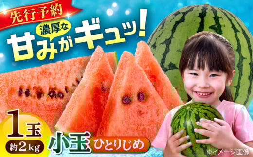【先行予約】【数量限定】小玉 すいか 1玉 ひとりじめ 計2kg 【合同会社 福福堂】 [AYAC054]