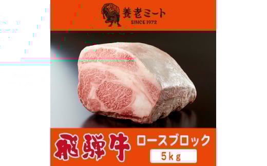 飛騨牛 ロースブロック 5kg【1622933】