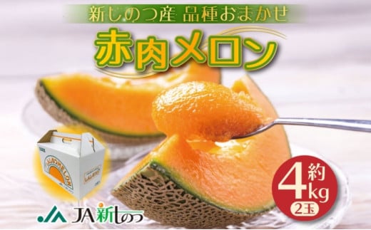 北海道 新しのつ産 赤肉メロン 2玉 約4kg メロン 果物 フルーツ 旬 季節 希少 甘い 豊潤 国産 デザート ご褒美 ギフト お祝い 贈答品 贈り物 産地直送 JA新しのつ 送料無料 新篠津 1267217 - 北海道新篠津村
