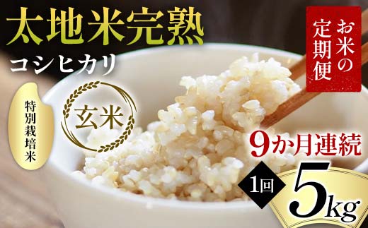 お米の定期便 特別栽培米 太地米完熟 【こしひかり】 玄米5kg×9か月連続 ブランド米 お米 人気 F7X-0386 2153744 - 福島県須賀川市